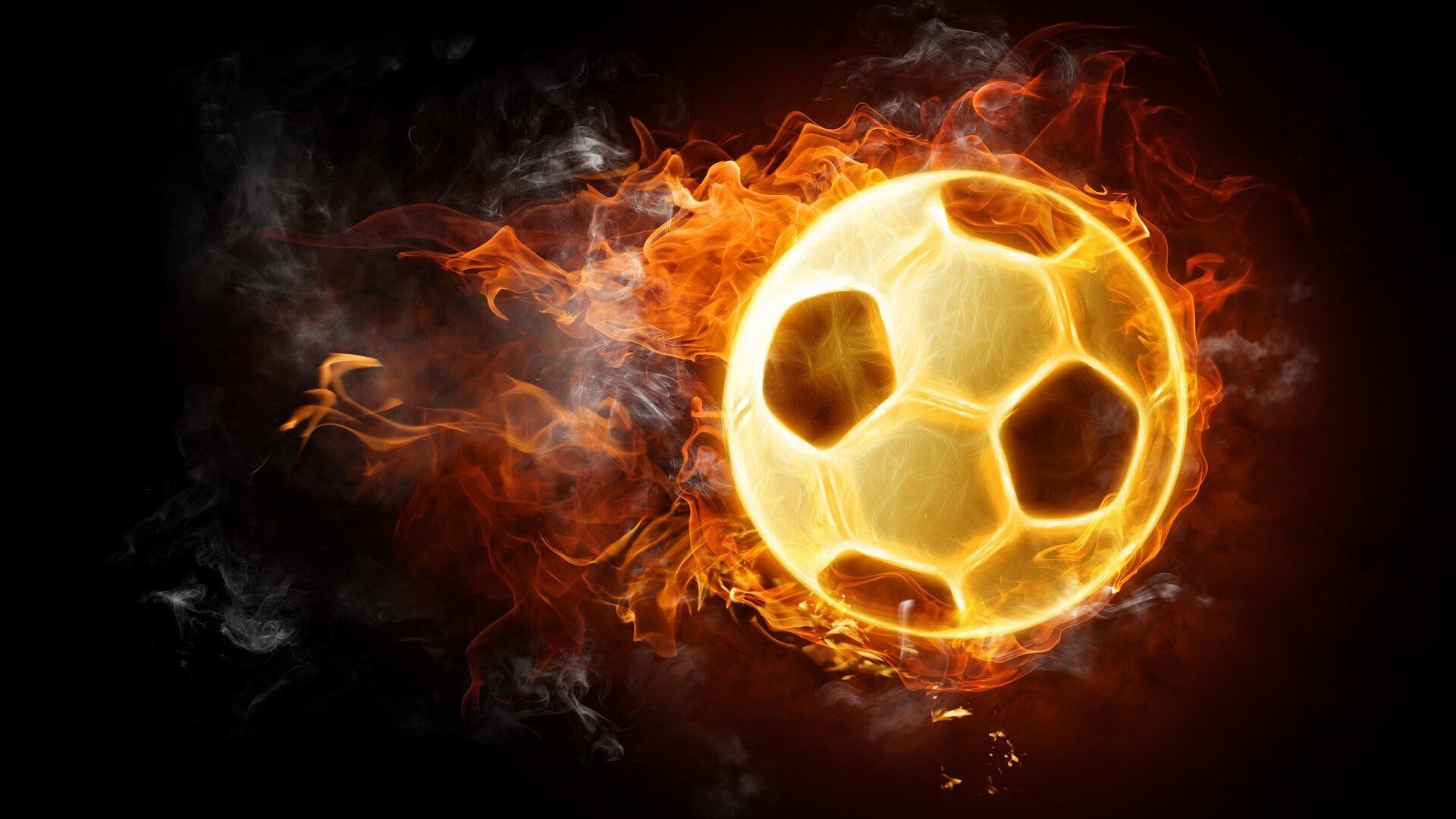 _森林狼战斗精神十足，稳扎稳打_，森林狼kg